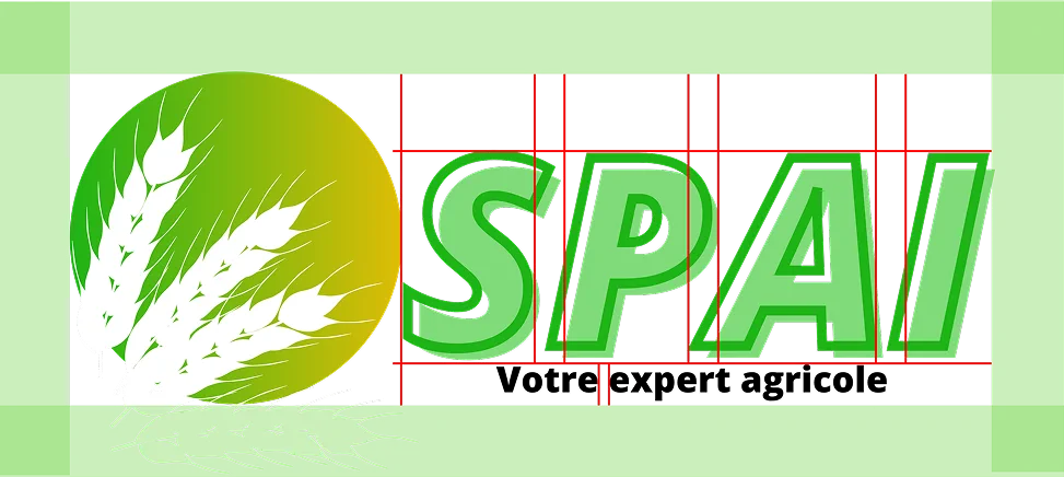 Projet  Spai - visuel 1